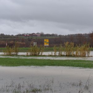 Polja u okolici Umaga i Buja dijelom poplavljena zbog velike količine oborina