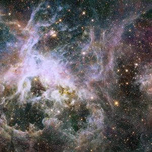 Maglica Tarantula - NGC 2070