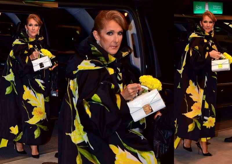 Nije samo za tople dvorane: Celine Dion isfurala operni ogrtač na smrznute ulice New Yorka