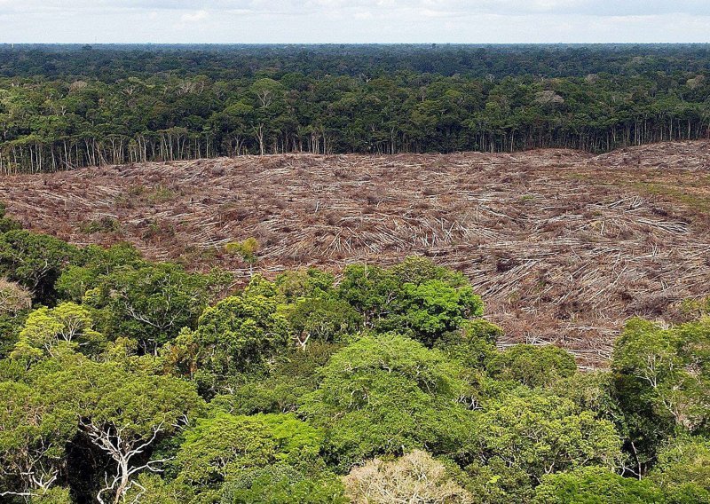 U travnju naglo poraslo krčenje Amazonije; ekolozi krive brazilskog predsjednika Bolsonara
