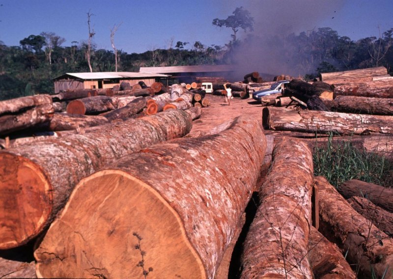 Vojska razmještena radi zaštite Amazonije; naglo poraslo krčenje šuma