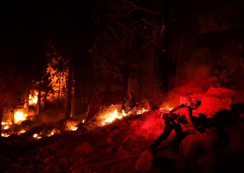 Vatrogasci u Kaliforniji rade nevjerojatnu stvar ne bili spasili najviša stabla na svijetu