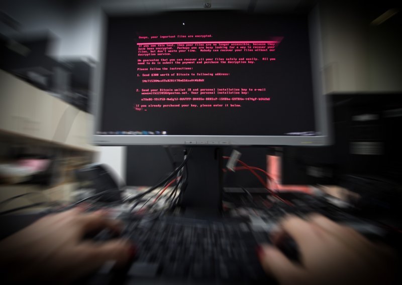 Hakerski napadi otežali uvođenje covid propusnica u Nizozemskoj