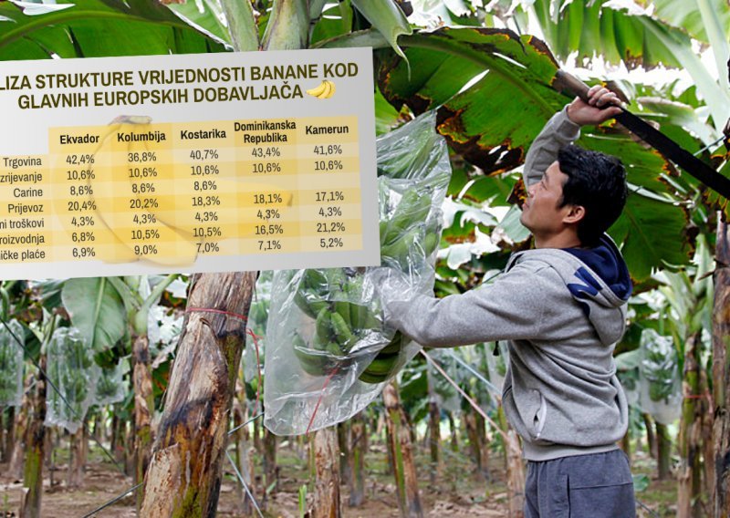 Proizvođači banana jedva preživljavaju, ali netko na njima odlično zarađuje: Kako se formira cijena na tržištu i tko pobere vrhnje