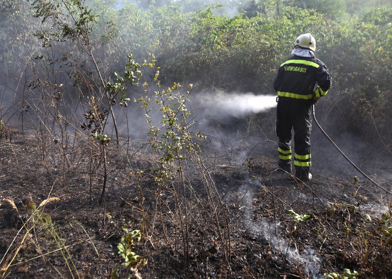 Veliki požar kod Novigrada lokaliziran, izgorjelo 50-ak hektara šume i raslinja