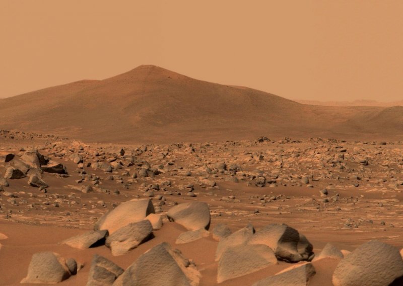 Matt Damon i Hollywood već su na filmu uzgajali hranu na Marsu, NASA tvrdi da je uz lucernu to vrlo moguće