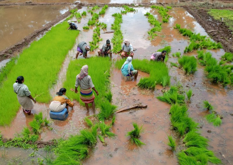 Indija ograničava izvoz riže, smanjenje isporuke pojačat će pritisak na cijene hrane u svijetu