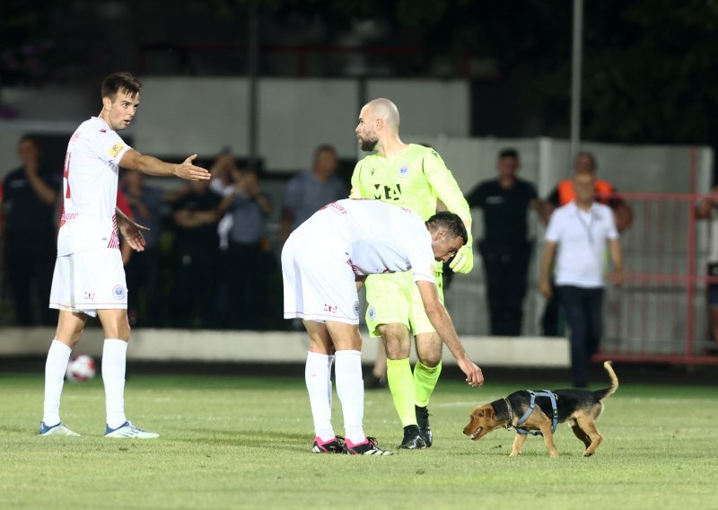 Pogledajte kako je pas utrčao u teren i spasio nogometaše Zrinjskog u kritičnoj situaciji