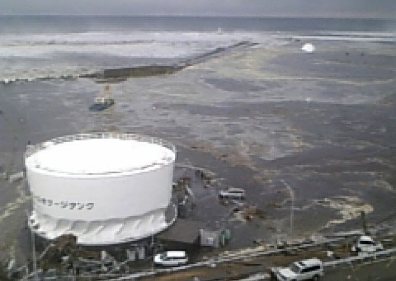 Japan tvrdi da u ribama u vodama kod Fukushime nema radioaktivnosti