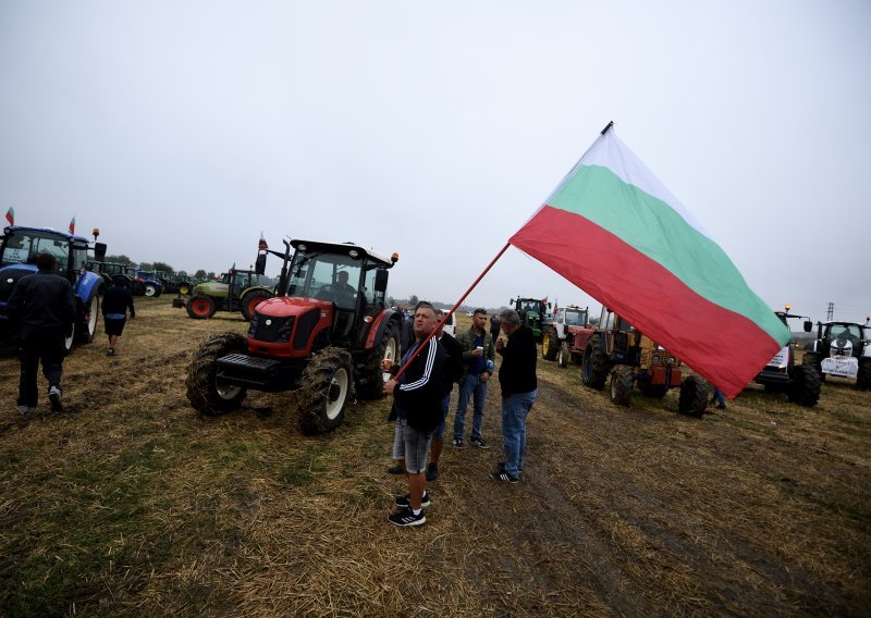 Bugarska privremeno obustavlja uvoz sjemenki suncokreta iz Ukrajine