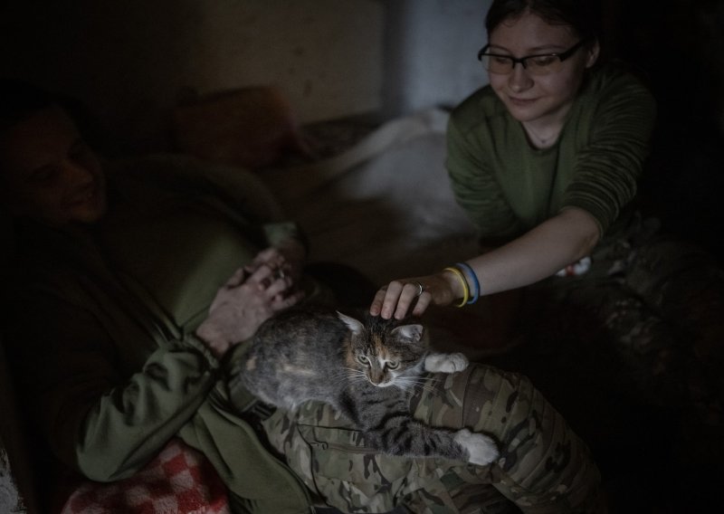 Ratne mačke igraju važnu ulogu na bojištu u Ukrajini, prikupljaju i donacije