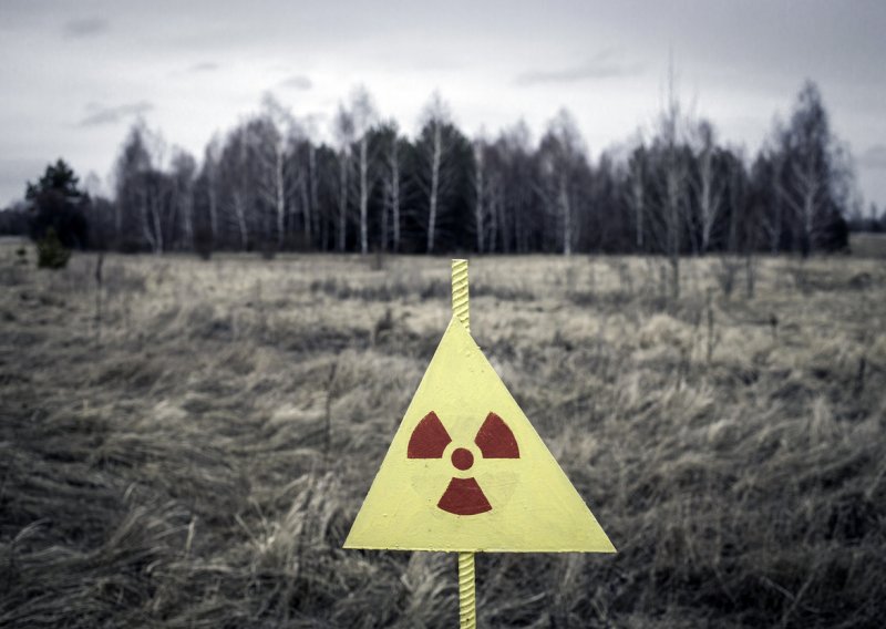 Radioaktivne gljive iz Rusije našle se na policama francuskih trgovina