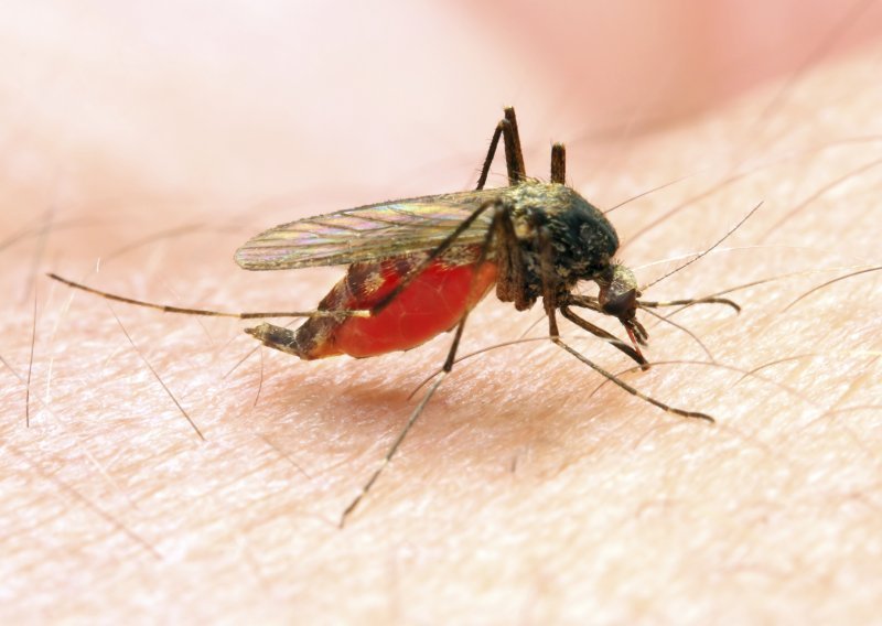 Koji ljudi i zašto posebno privlače komarce?