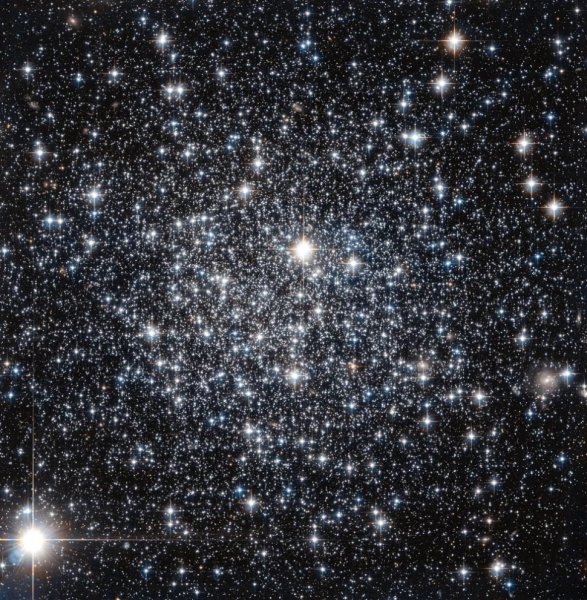 Roj zvijezda IC499