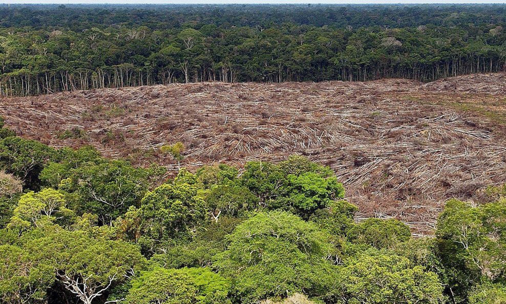 Krčenje Amazonije