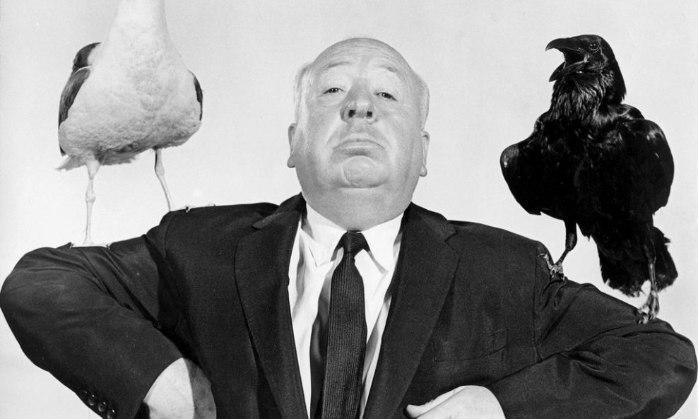 Alfred Hitchcock Ptice