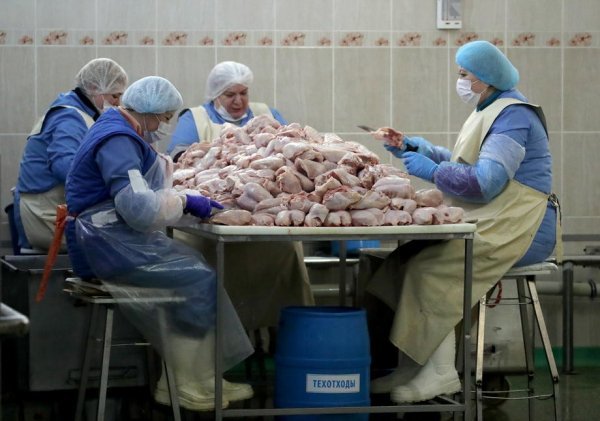 Prerada mesa u Bjelorusiji